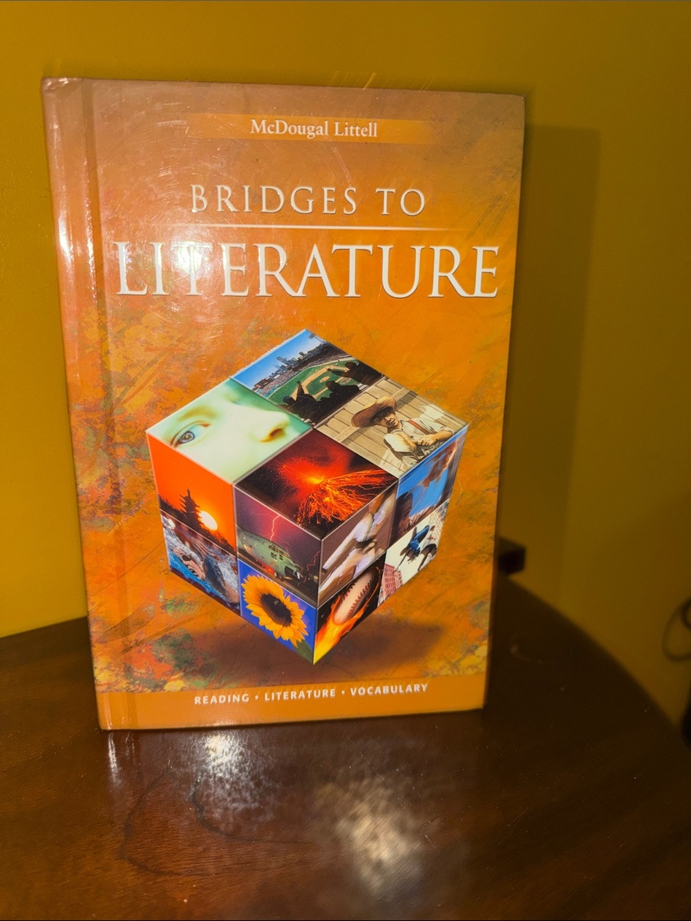 Orange 'Bridges to Literature' Hardcover Book